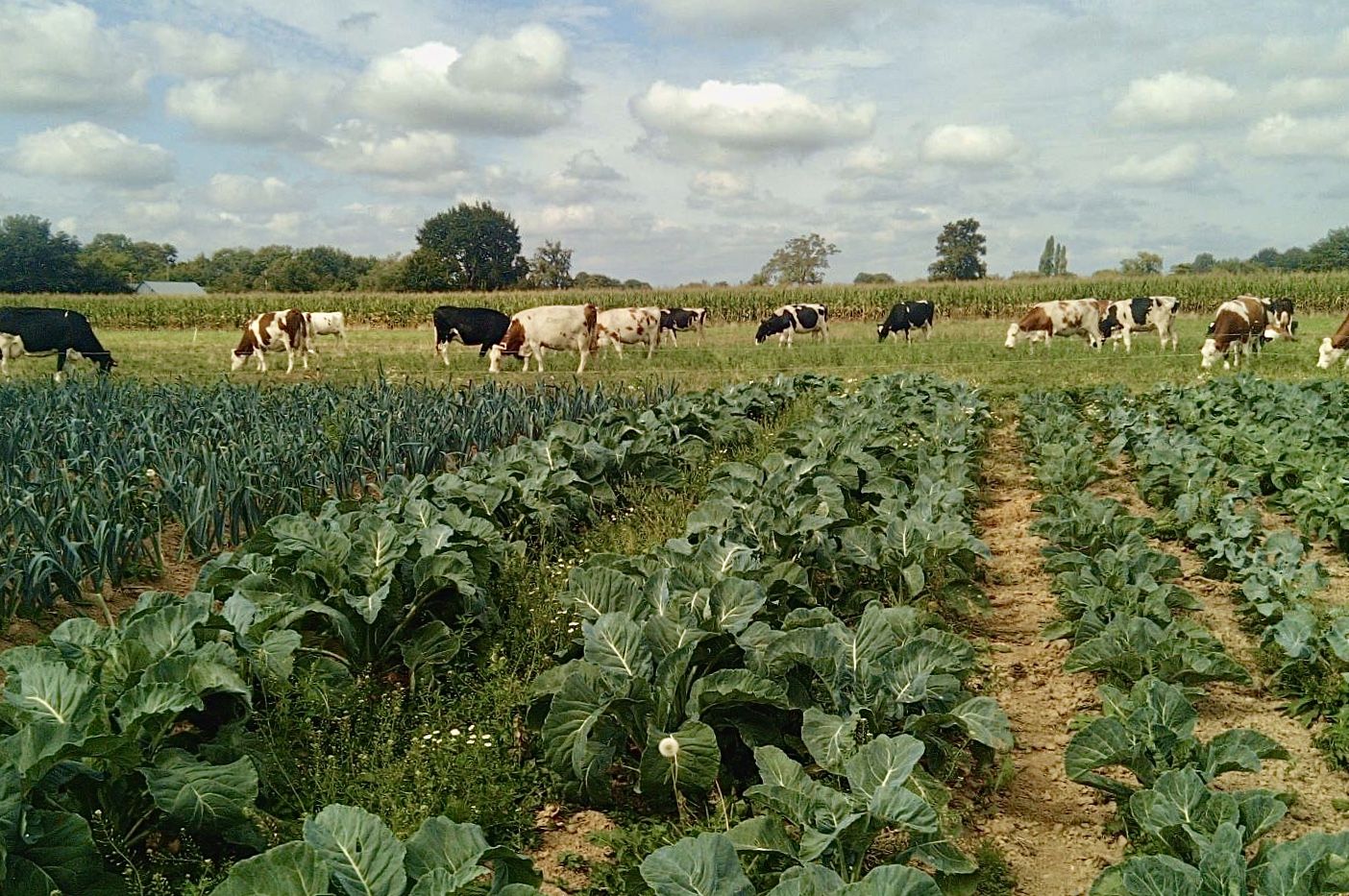 Ferme de la Paverie Ferme de la Paverie