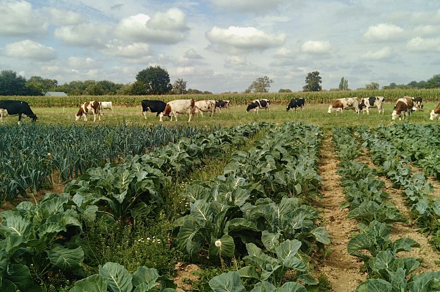 Ferme de la Paverie