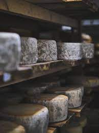 Fromagerie de la Germillotte