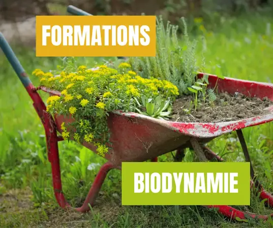 Cycle de 3 journées de formations à la biodynamie