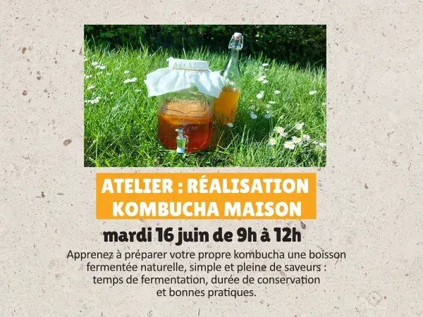 15ᵉ anniversaire : Atelier réalisation kombucha maison
